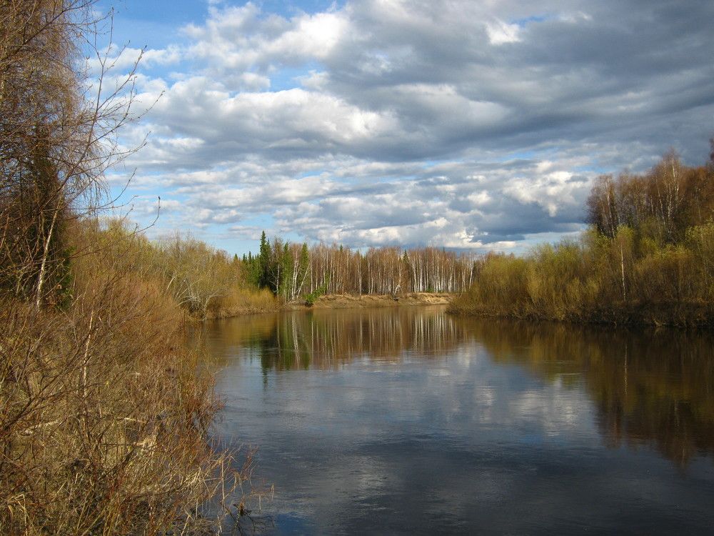 Фотография автора геннадий лалаев