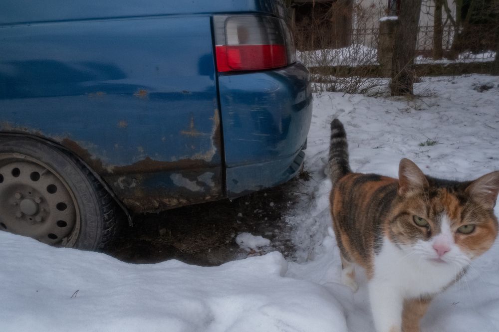 «Жилье и городская среда»