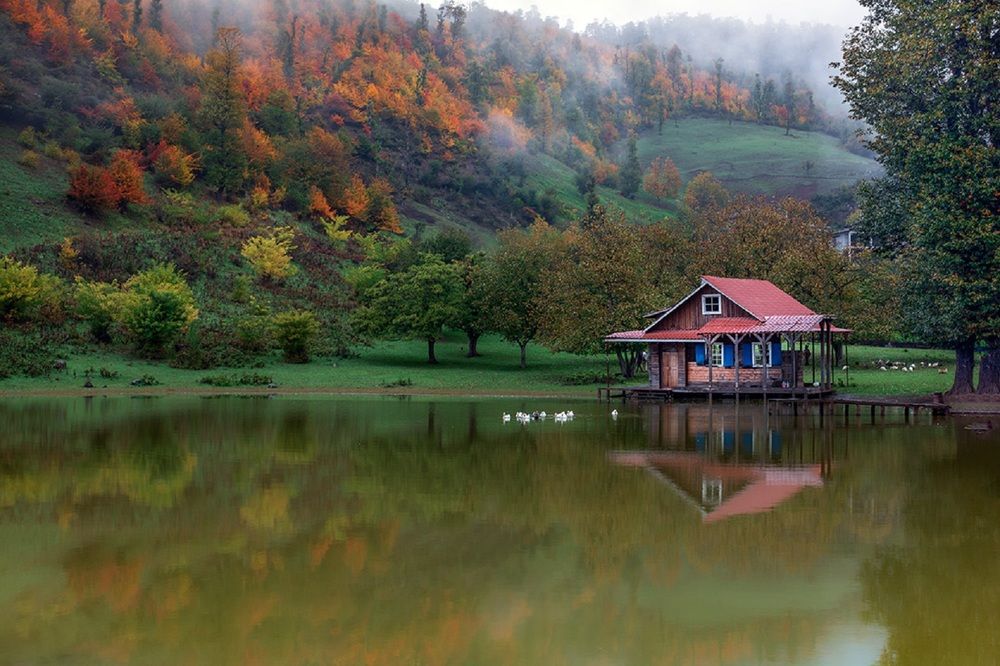 Photograph by Sara Azizi