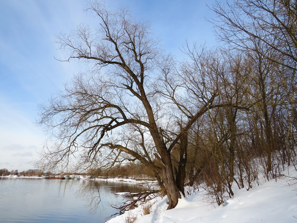 Вдоль зимней реки