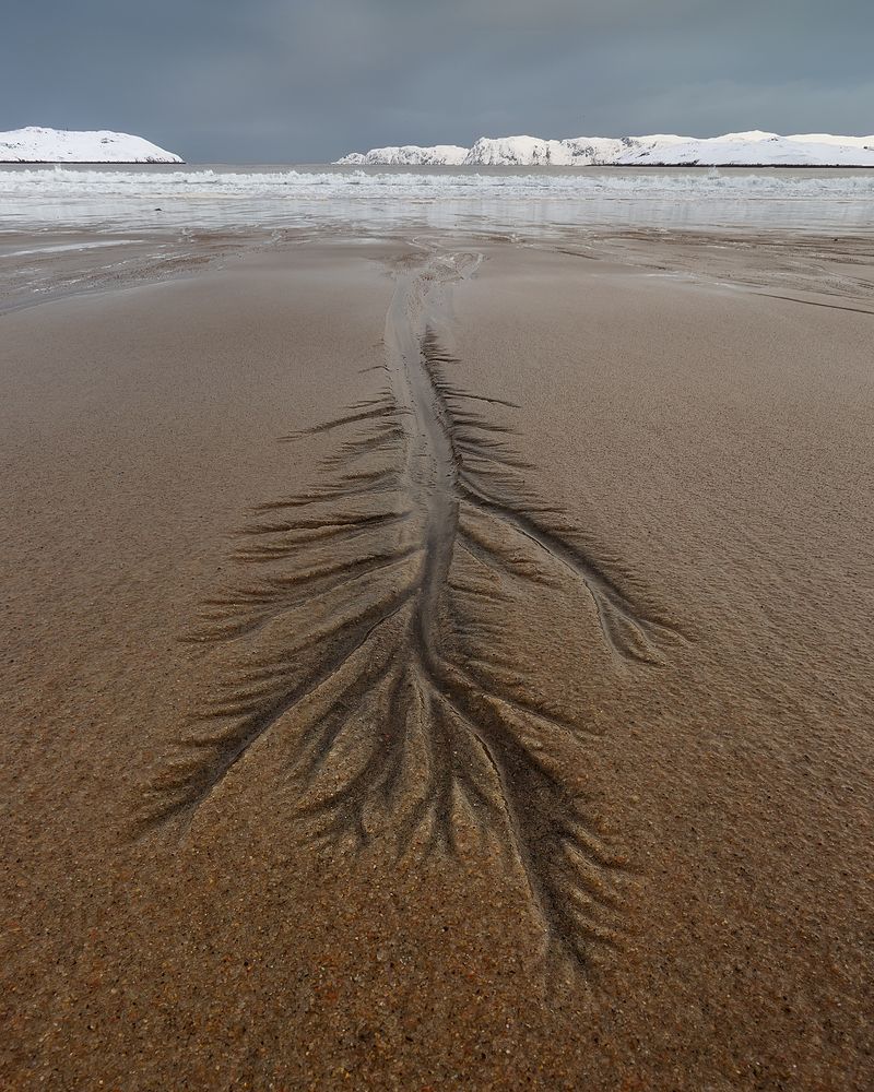 Photograph by Константин Маланин