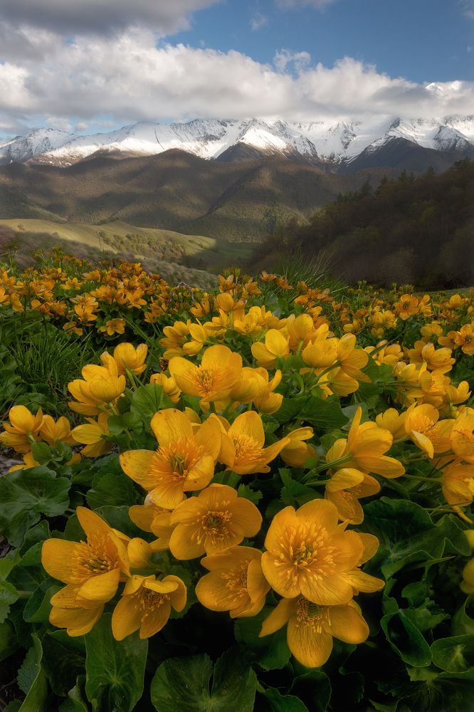 Photograph by Константин Маланин