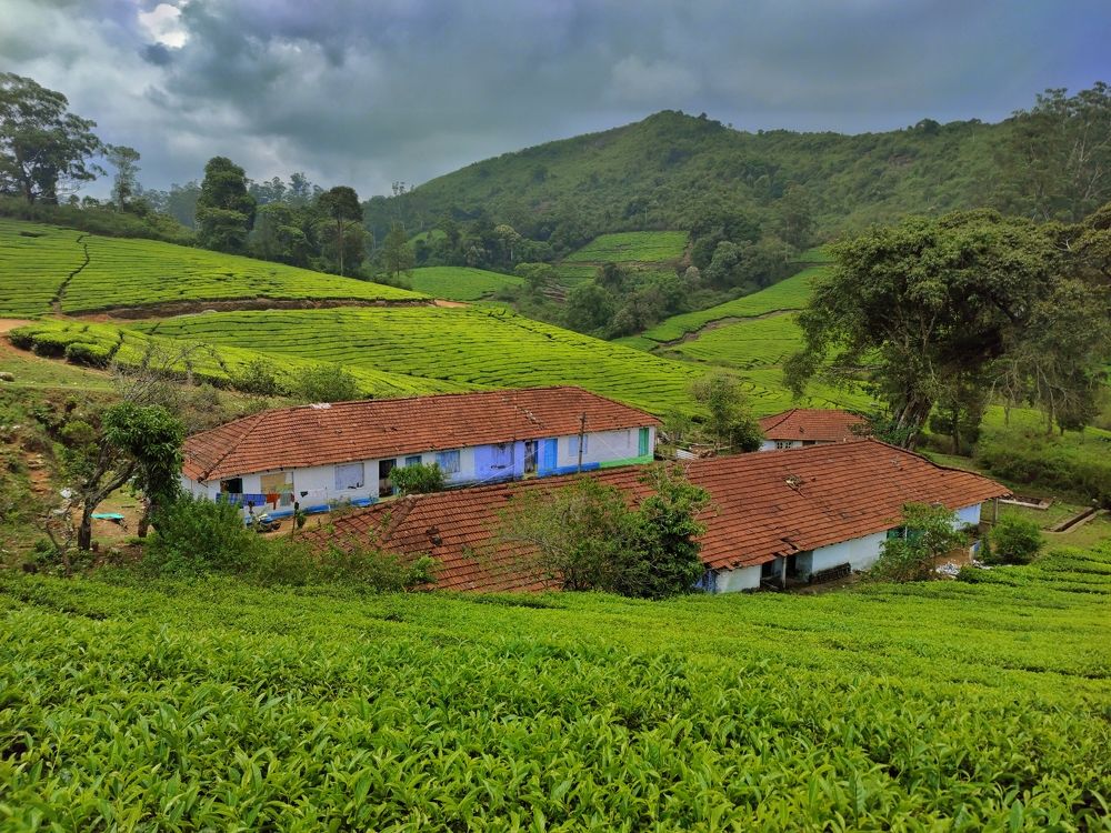 Photograph by ASWIN KUMAR S