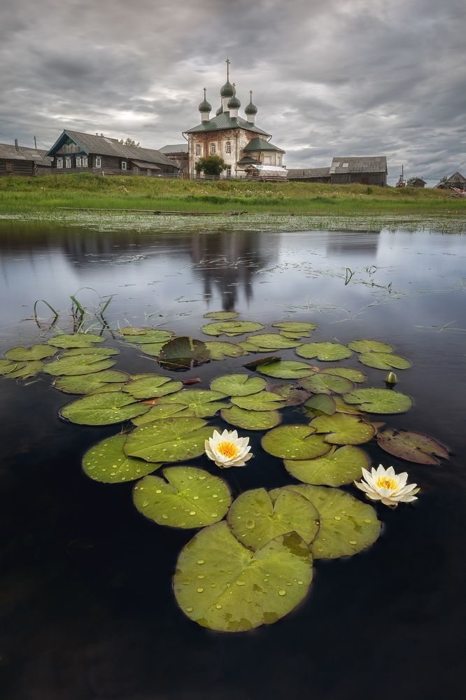 Грозовые лилии