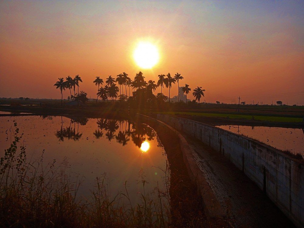 Photograph by Vaibhav G