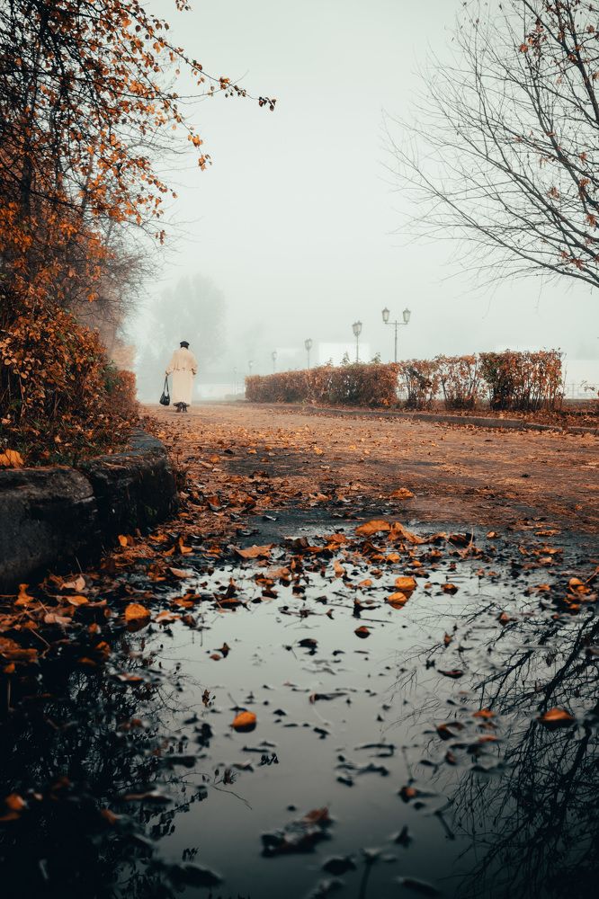 Photograph by Лемехов Иван