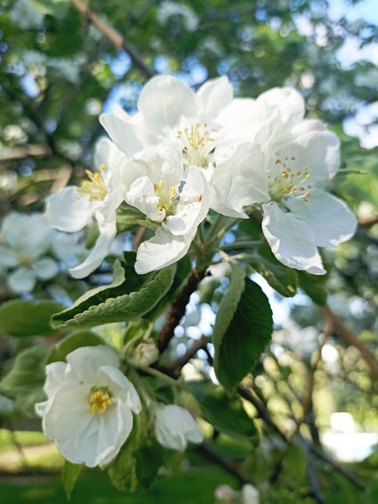 Photograph by Yulia Deimos