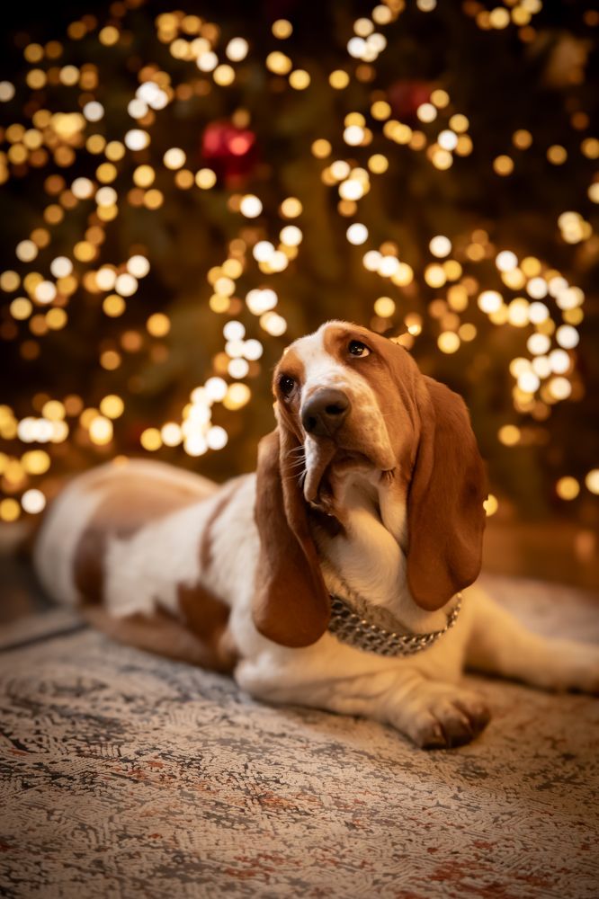 Photograph by Софья Сагитова