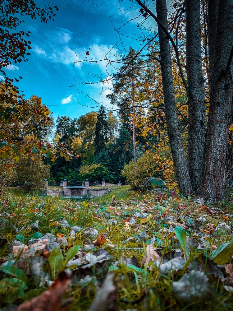 Photograph by Murat Pseunov