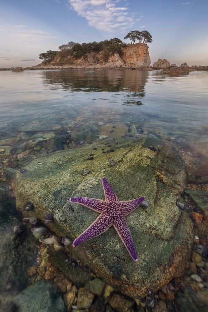 Photograph by Константин Маланин