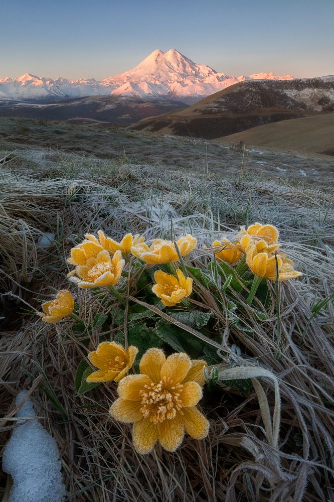 Изменчивый май