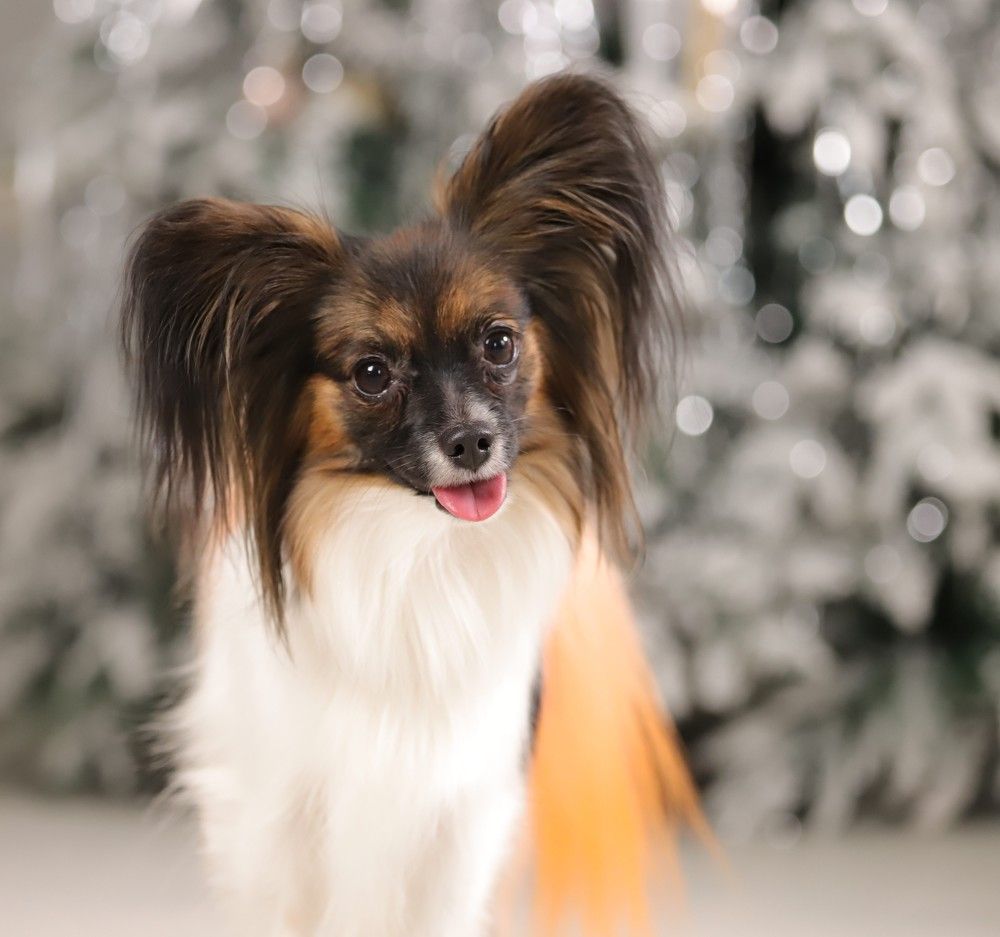 Photograph by Софья Сагитова