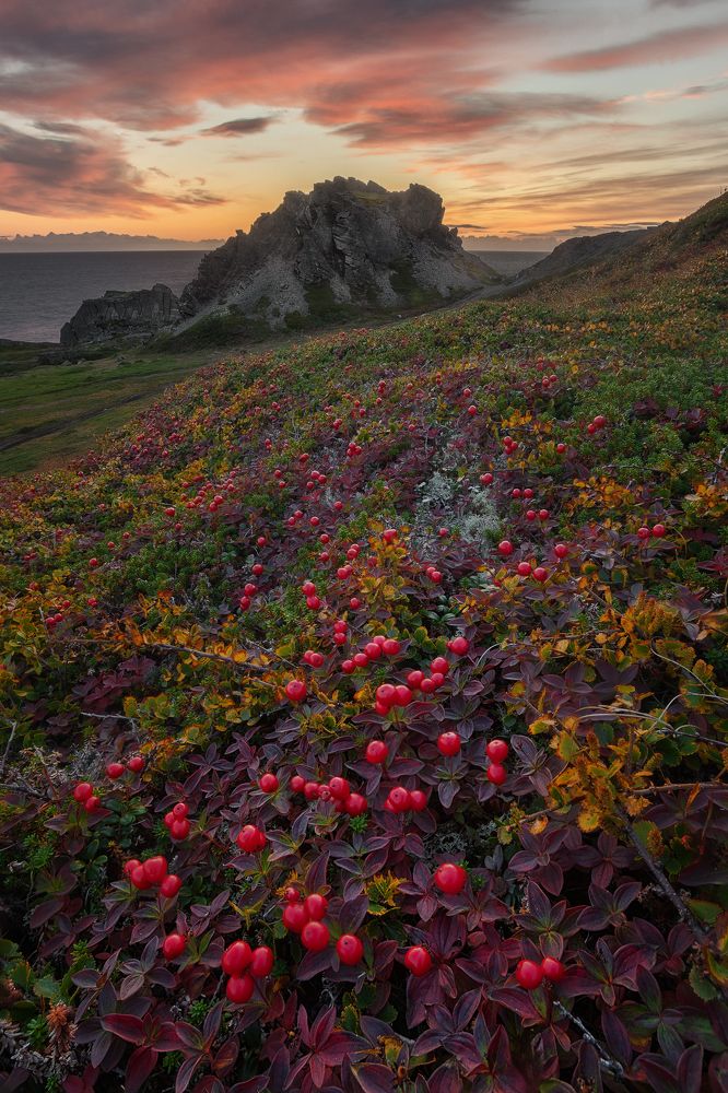 Photograph by Константин Маланин