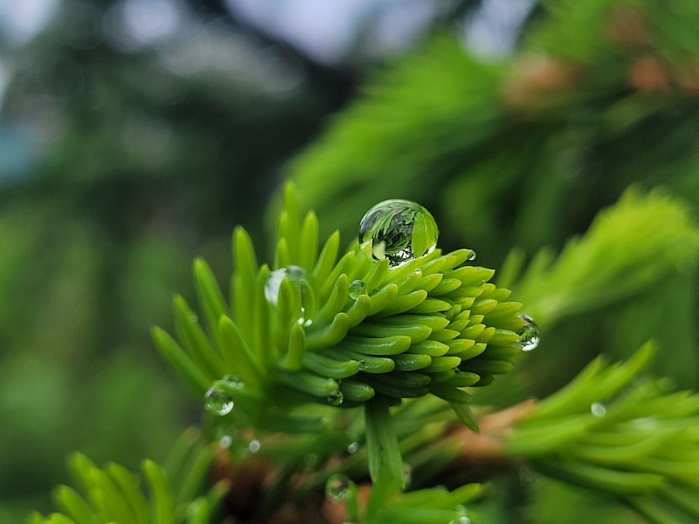 Photograph by Крылов Роман