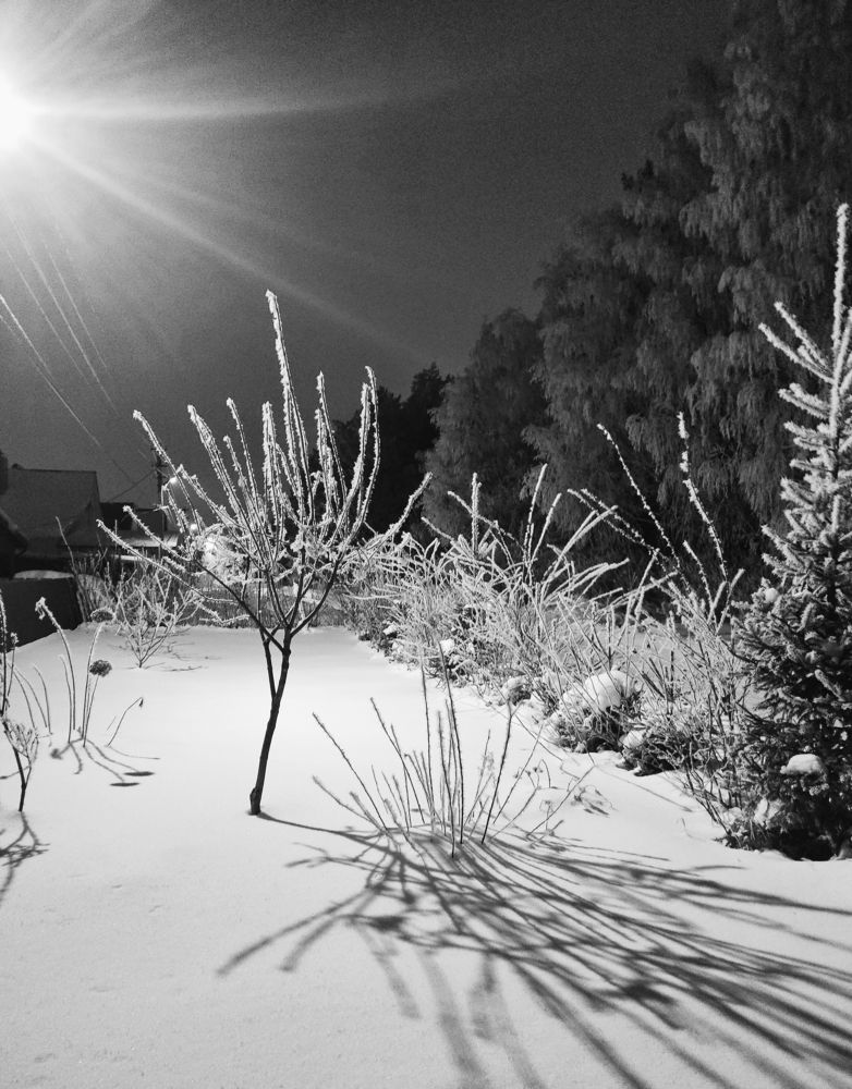 Photograph by Елена Стрельцова