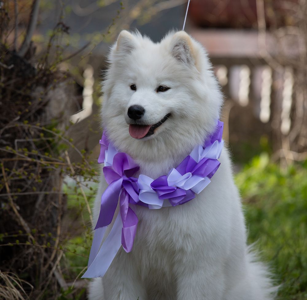 Фотография автора Карина Сагитова