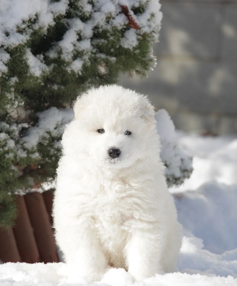 Фотография автора Карина Сагитова