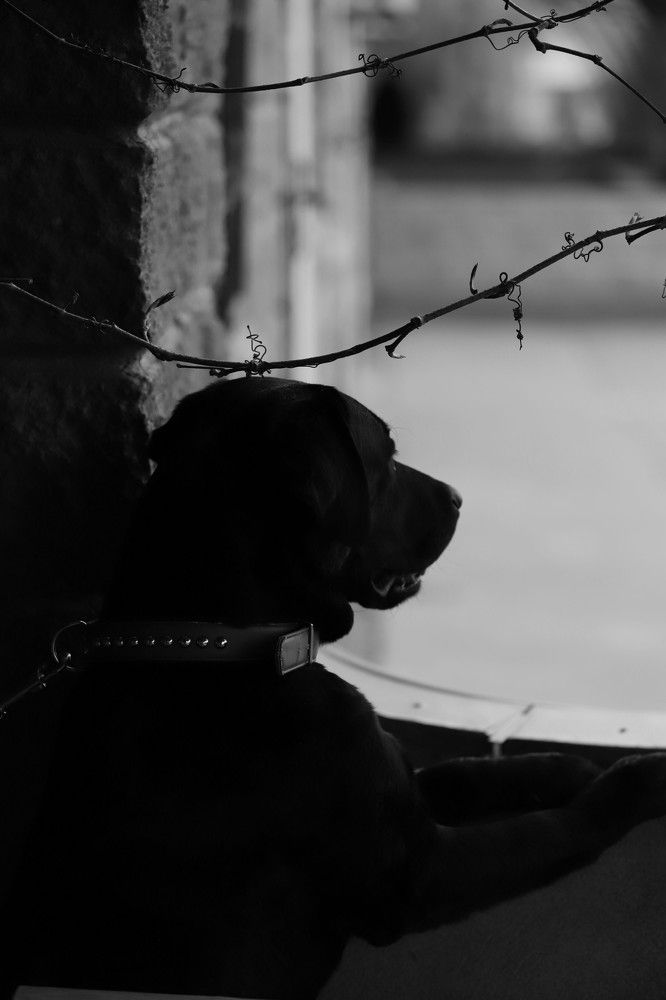 Фотография автора Карина Сагитова