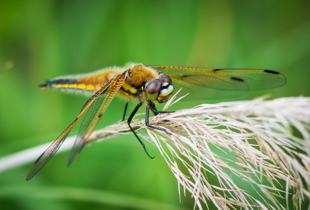 Photograph by Agita Leimane