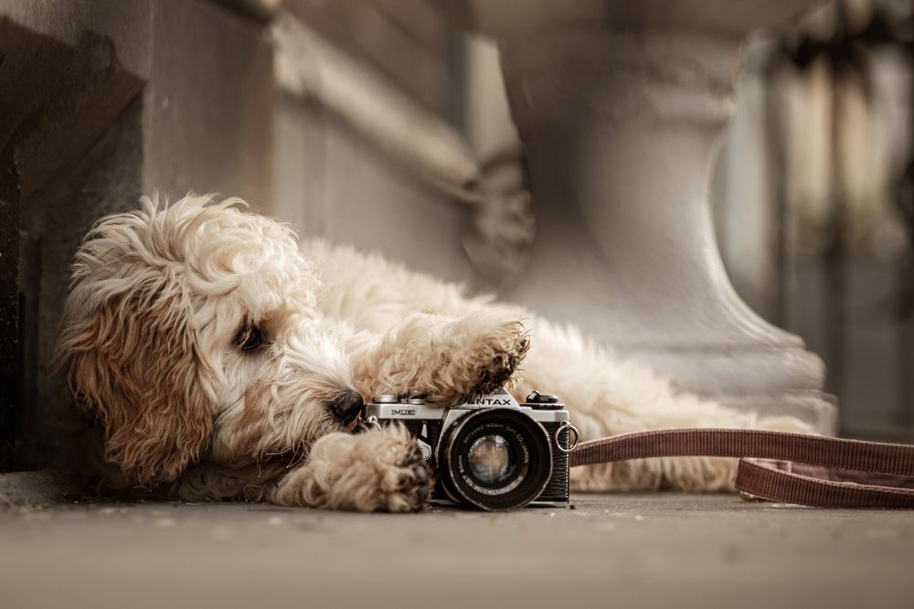 Photograph by Gertrude Goené