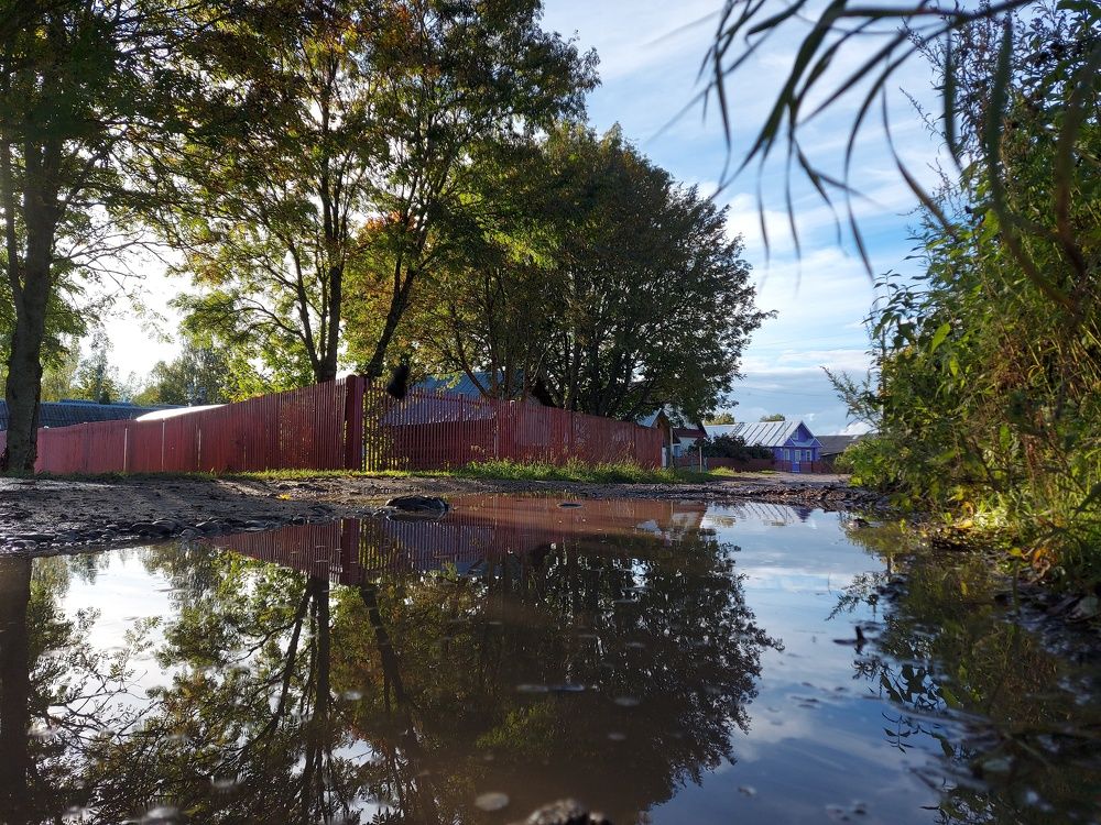 В лужах картинки!