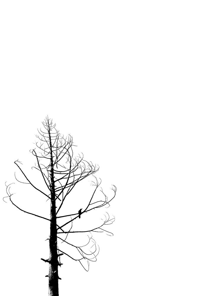 অপেক্ষা