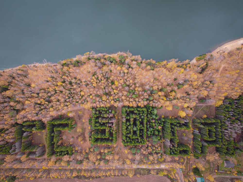 Photograph by Крылов Роман