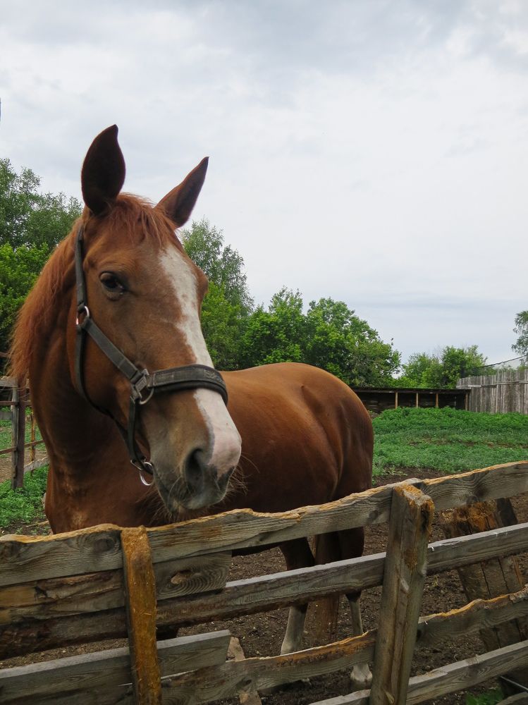Photograph by Дарья Овсянникова