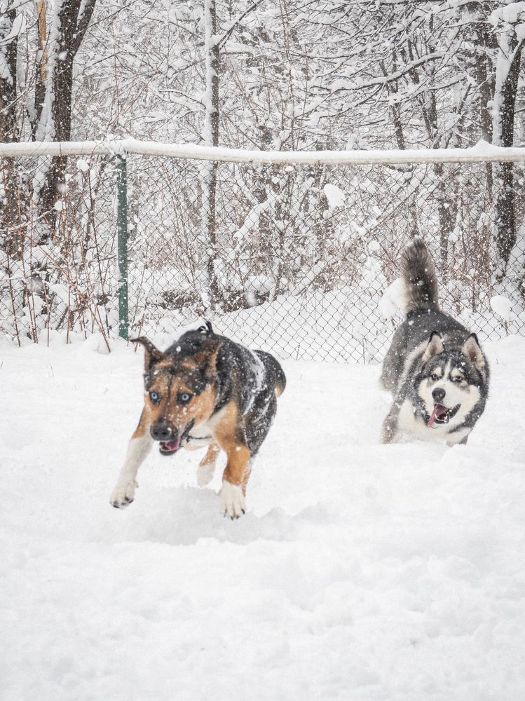 Photograph by Margarita Presidentova