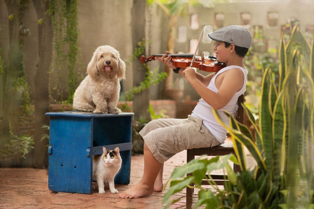 LA MUSICA... IDIOMA UNIVERSAL.