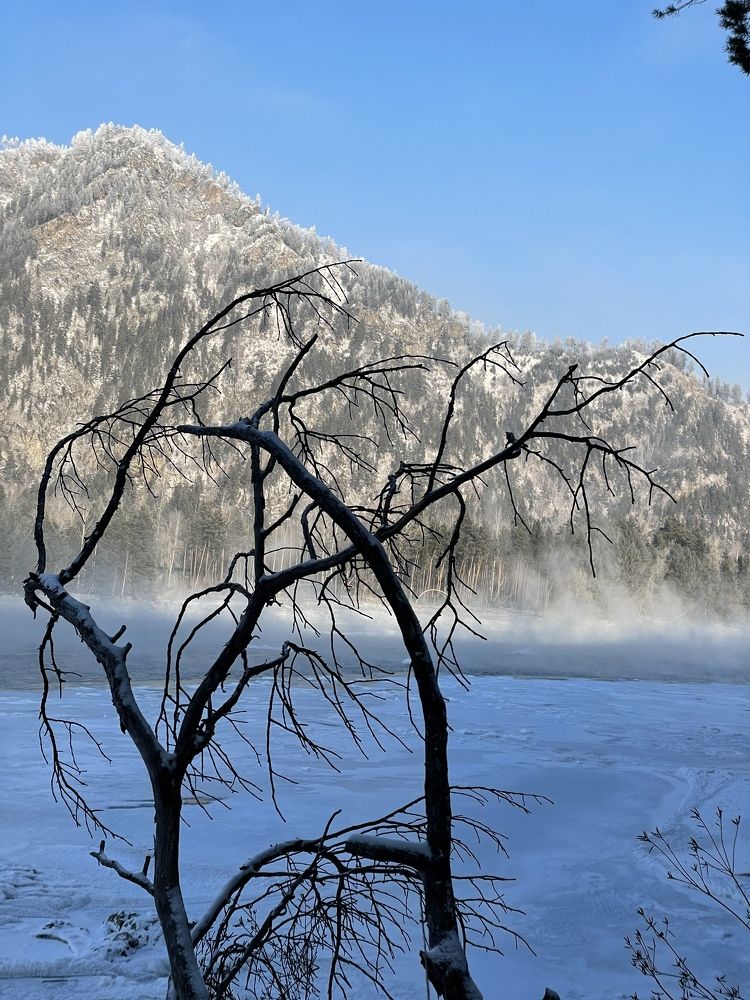 Photograph by Ольга Унутова( Виноградова)