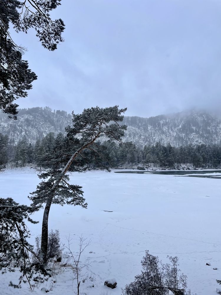 Photograph by Ольга Унутова( Виноградова)