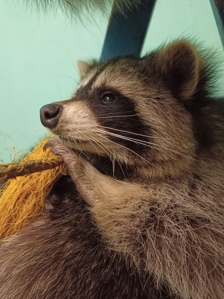 Photograph by Елизавета Мишина