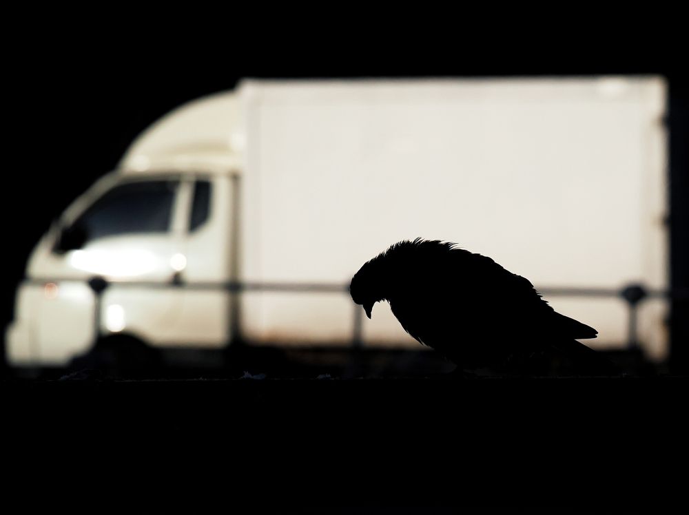 Фотография автора Федор Горбатов