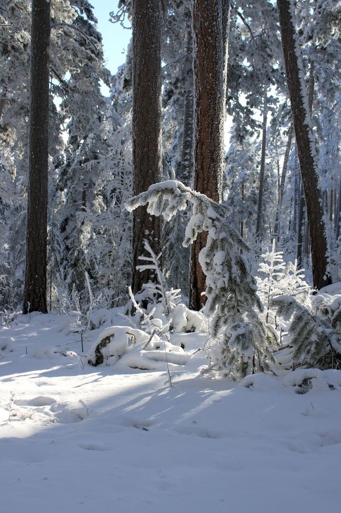 Photograph by Елена Кузнецова