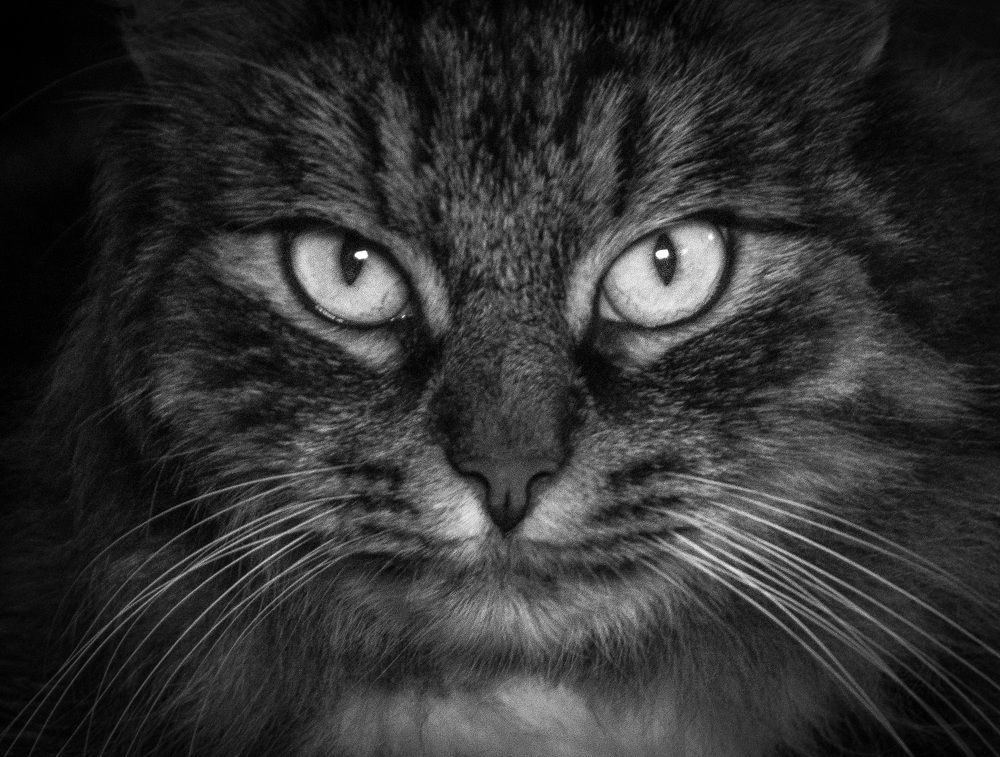 Photograph by Александр Халимов