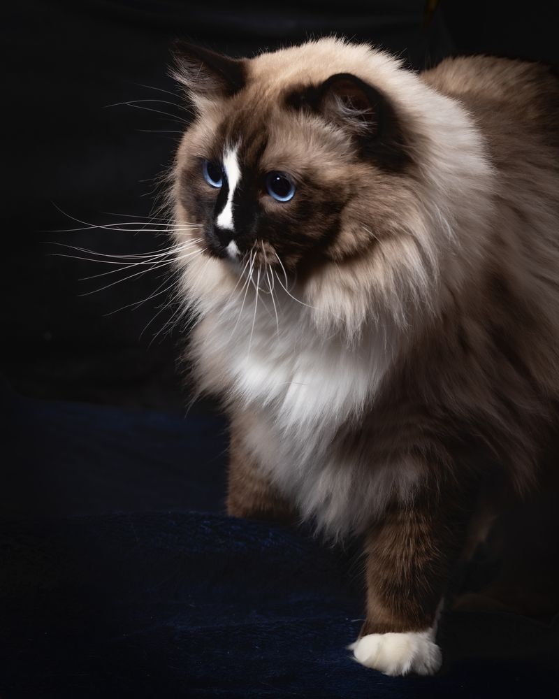 Фотография автора Наталья Якушонок