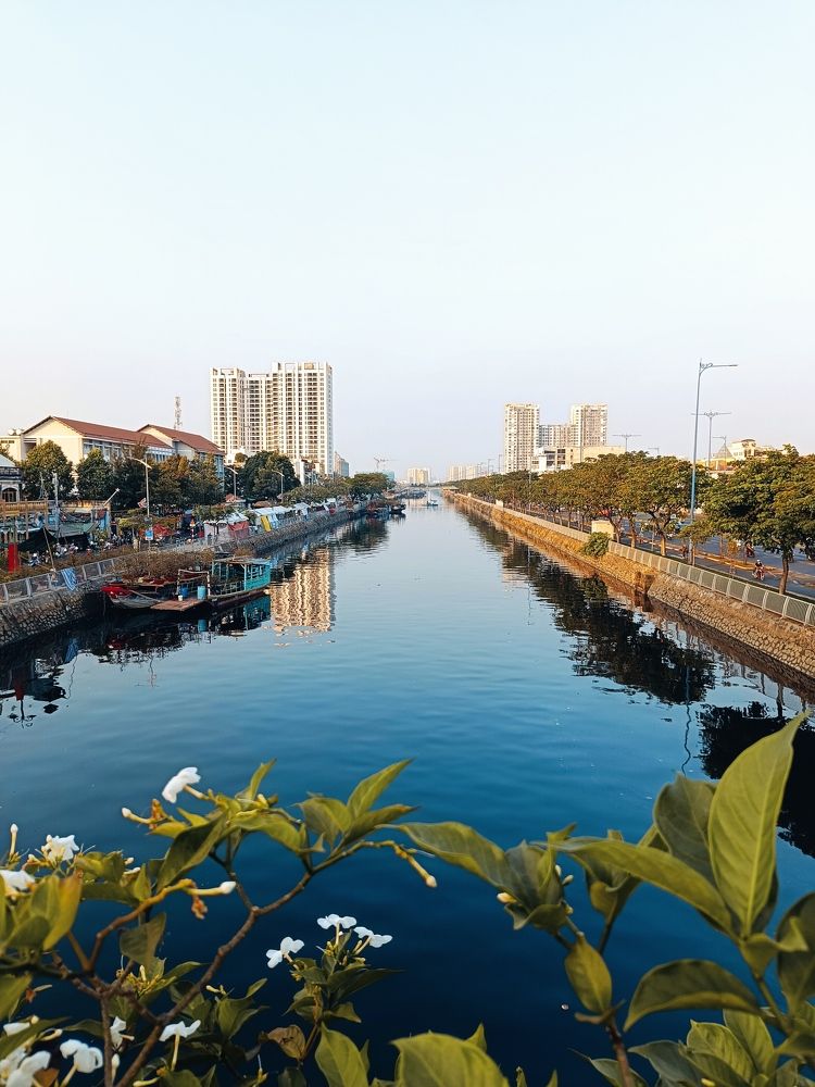 Фотография автора QUANG THOI HUA