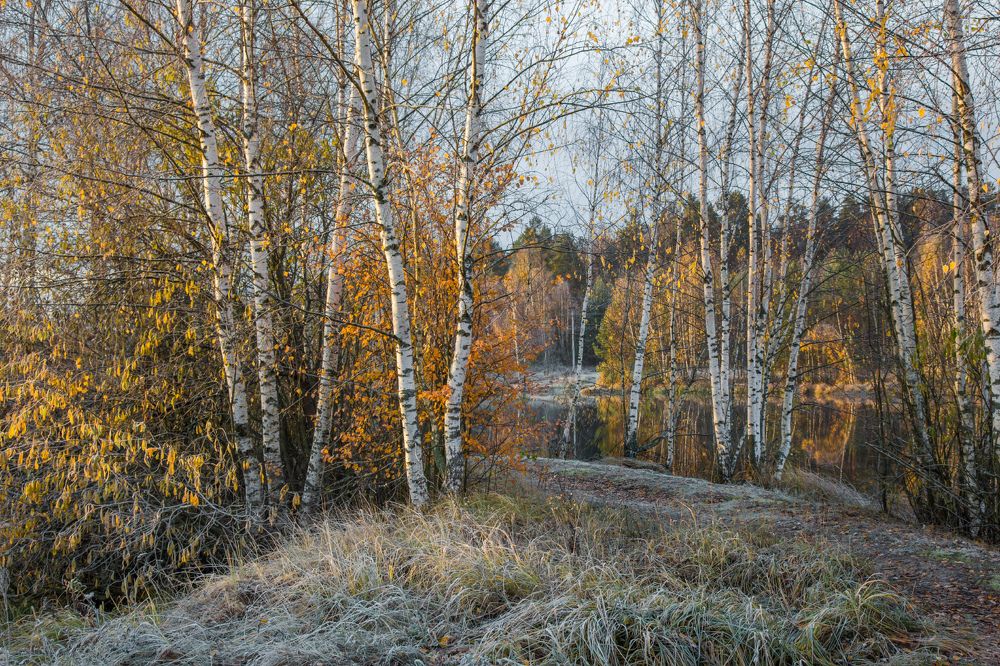 Photograph by Дмитрий Алексеев