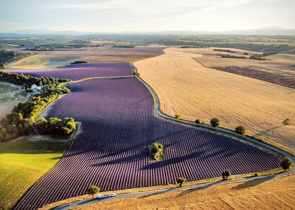 Photograph by Светлана Юдина