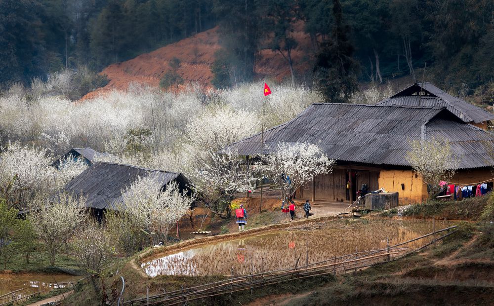 Photograph by Hanh P. T. Pham