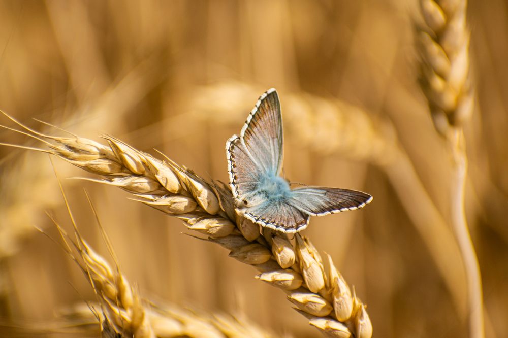 Фотография автора Савельев Алексей