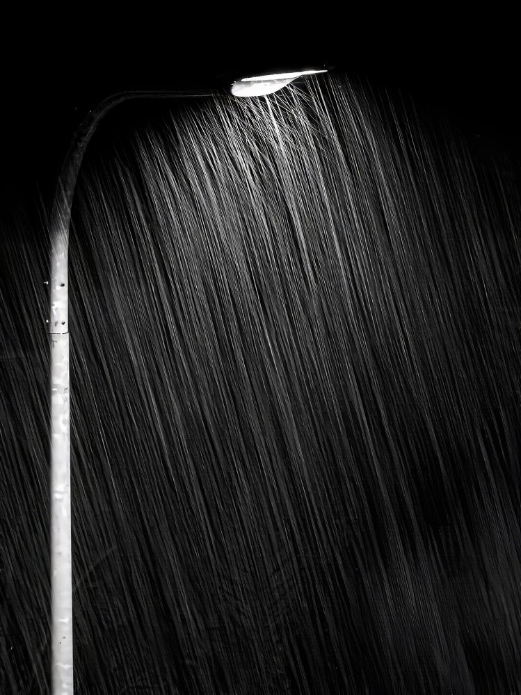 Photograph by Semion Ribinik