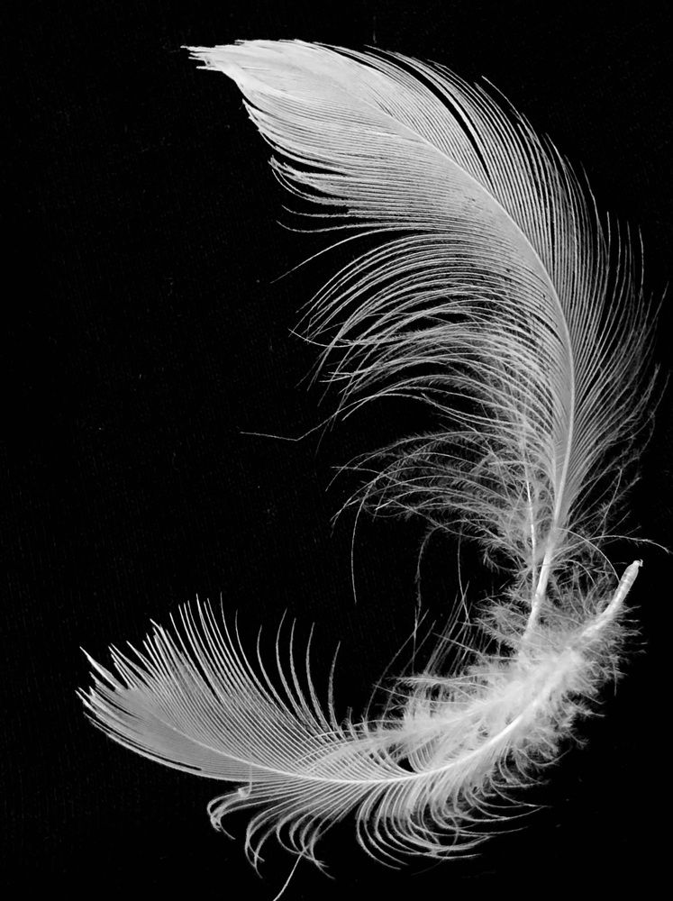 Photograph by Halina Mitsevich