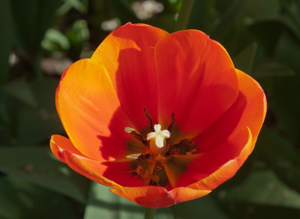 Photograph by Мария Самоловова