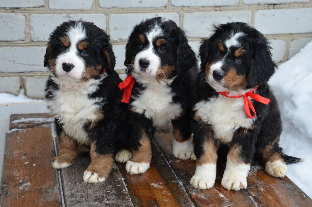 Photograph by Светлана Спицова