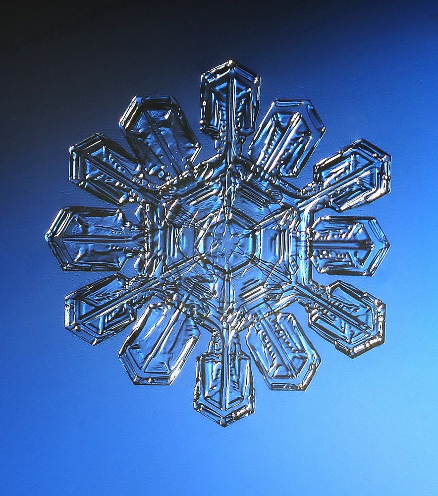 Холодная красота.