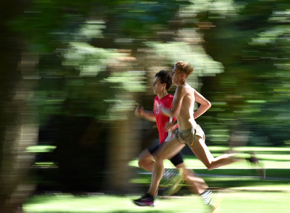 Photograph by Bob Gajdoš