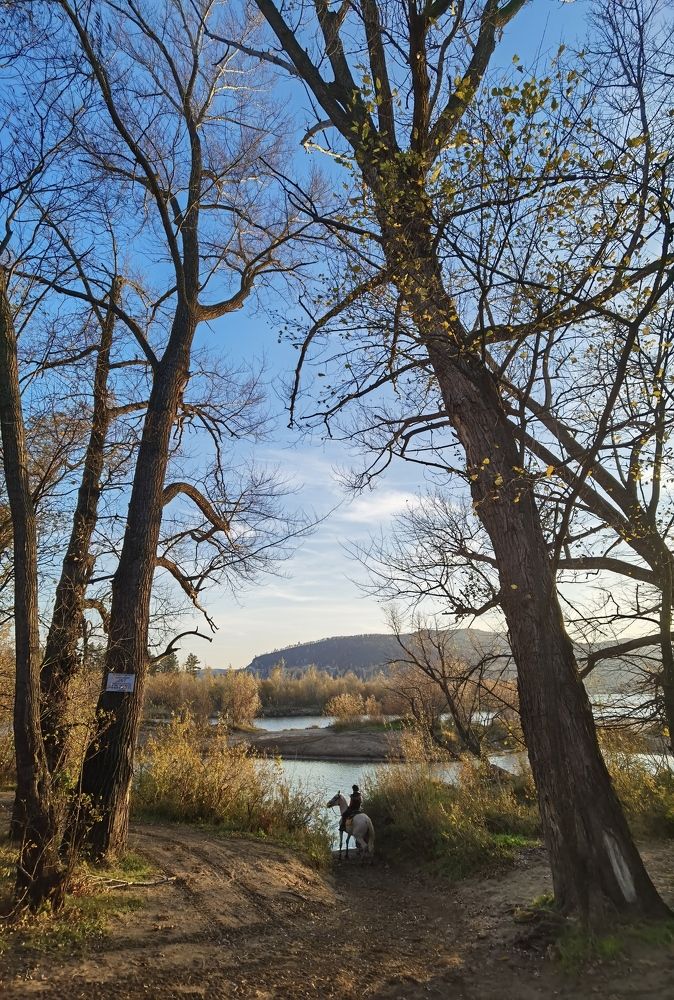 Фотография автора Елена Гордиевская