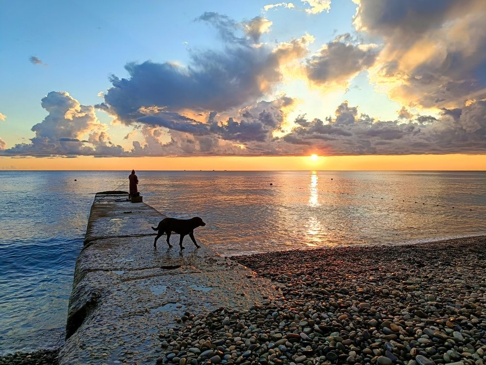 Photograph by Старцев Андрей